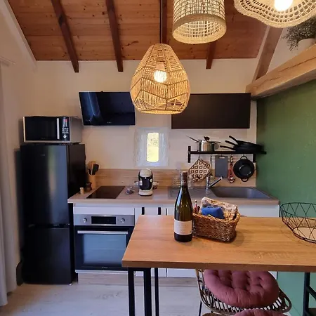 Domaine Du Raysse Holiday home Saint-Cirq (Dordogne)