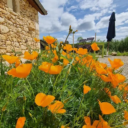 Domaine Du Raysse Holiday home Saint-Cirq (Dordogne)