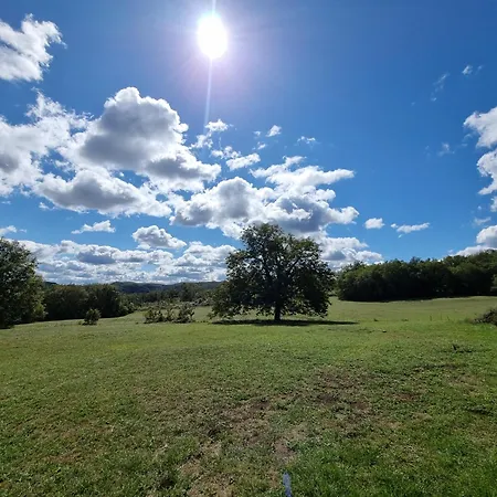 Domaine Du Raysse * Saint-Cirq (Dordogne)