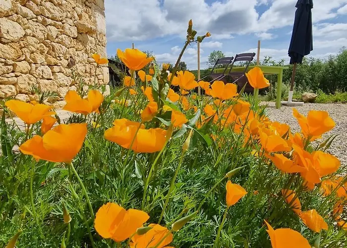 Domaine Du Raysse Ferienhaus Saint-Cirq (Dordogne)